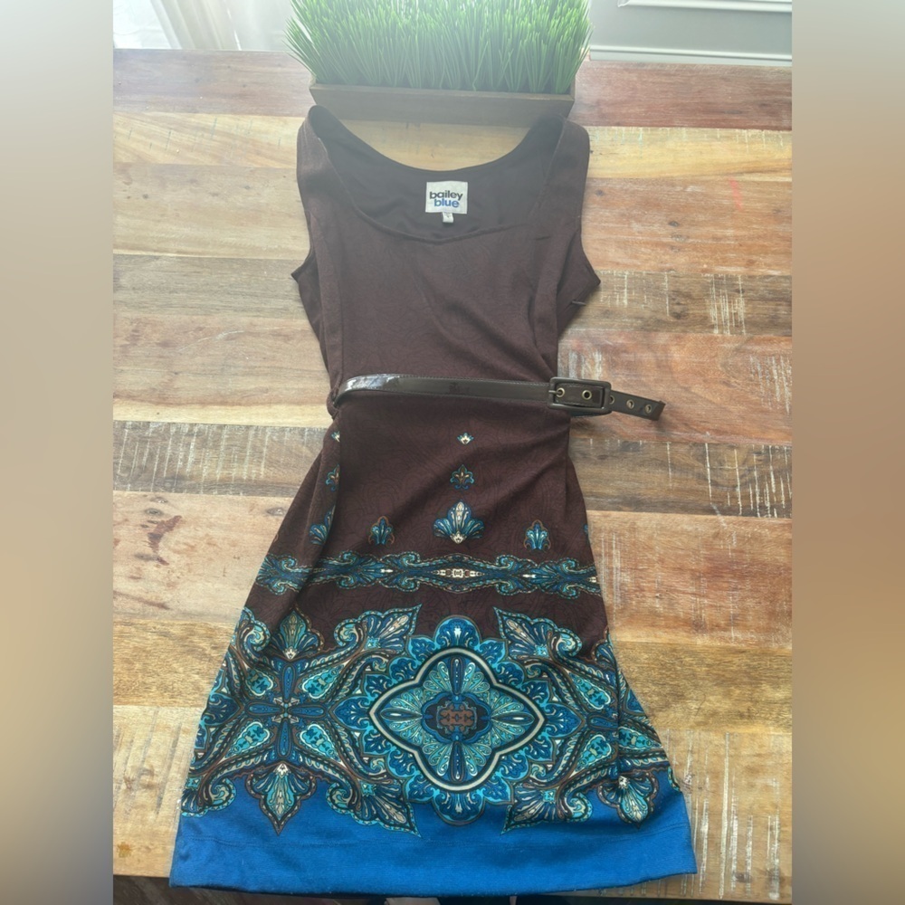 Bailey Blue Sleeveless Belted Brown Dress| Small - Picture 3 of 7